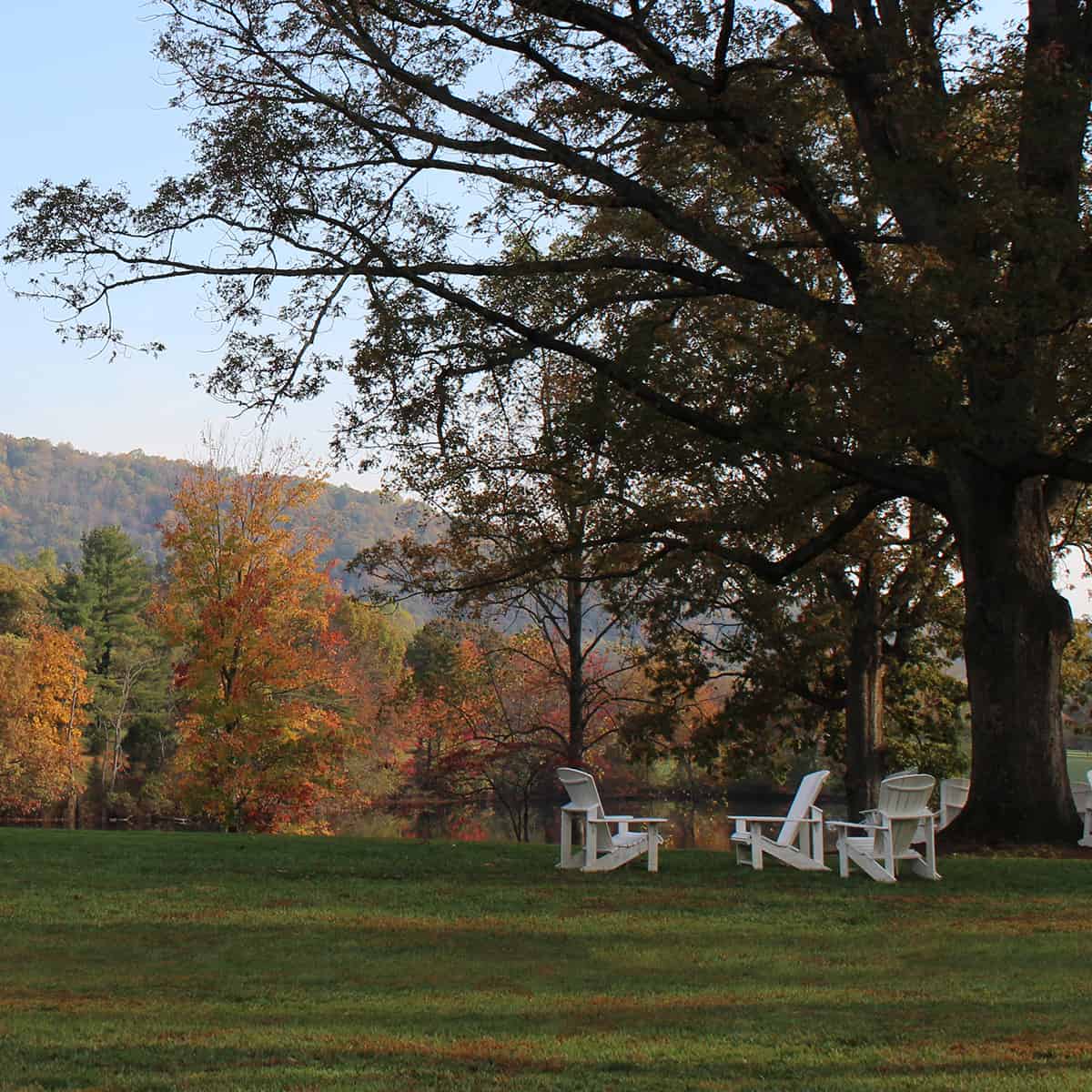 empty chairs on the front lawn