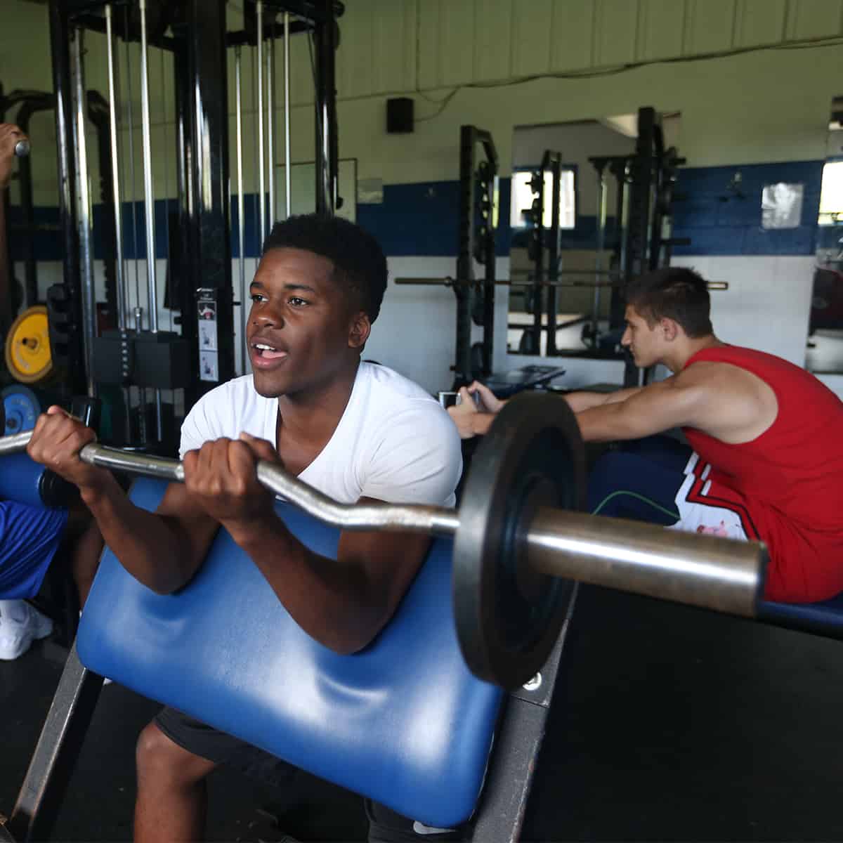 students lifting weights