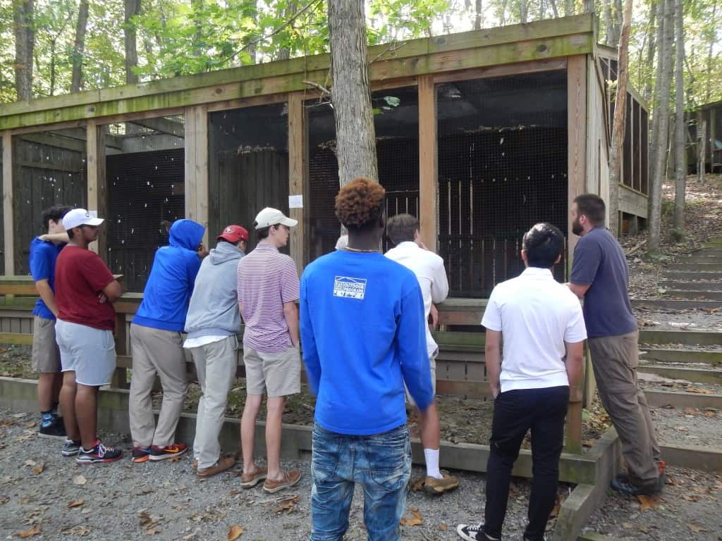 Virginia Wildlife Center
