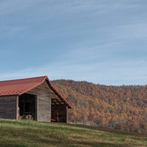 Landscape 2